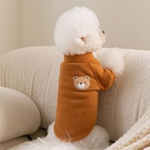 귀여운 원피스 소형견 옷 개플룩 올인원 셔츠 트레이닝복 강아지 시밀러룩 여름 가을, 브라운 곰돌이, M(권장 체중 2.5-4.0kg)