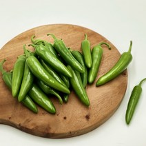 국내산 모닝고추 아삭이고추 오이맛고추 (특) 1kg 3kg 5kg 10kg [노블프레쉬], 모닝고추 10kg