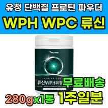 WPH WPC 유청 단백질 류신 L-로이신 프로틴 파우더 가루 분말 유청단백 가수분해물 아미노산 아미노액티브 BCAA 헬스 헬린이 바디프로필 바프 복근 운동후 쉐이크 음료 추천
