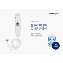 워터픽 손잡이 호스(WP-100K 전용) 교체형 호스, 워터픽 교체형 호스(100K 전용)