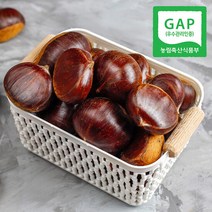 [GAP인증] 산지직송 충남 공주 정안 알밤 2kg(대), 단품