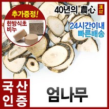 자애인 국산 엄나무 (절) 300g 음나무 해동목, 1개