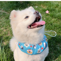 덕구마켓 반려견 반려묘 강아지 고양이 여름 쿨스카프 쿨리본 쿨목도리 목수건 소형견 대형견, M, 핑크
