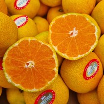 고당도 제주 하우스 감귤, 4.5kg, 로얄