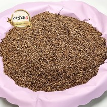 [가온애] 브라운 아마씨 1kg x2팩 / 볶은아마씨 볶음아마씨 아마씨드 견과류 잡곡류 슈퍼푸드