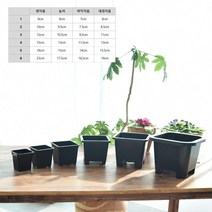 검정 PP 사각포트 모종화분 12x10.5cm 10개 카페입구