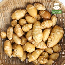 [생산자직송] 해남 황희정님의 인디언감자 1kg2kg, 1kgx2