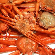 영덕강구항 박달홍게 마리당 350g내외 수율 80~90%, 1박스, 3마리(마리당 350g내외 수율80~90%)