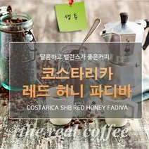 생두 코스타리카 레드허니 파디바 500g.커피올데이