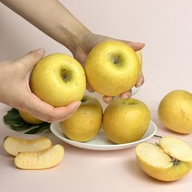 [팜플레이스] 가성비 선물용 아삭달콤한 시나노 스위트 골드 사과, 실속(중대과), 1개, 5kg