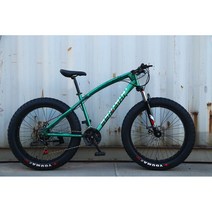 펫바이크 MTB 바퀴큰자전거 산악 바퀴자전거 두꺼운 출퇴근용, 21속, 26인치, 그린 재규어
