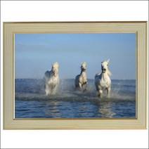 C163-5/말사진액자 A4 바다사진액자 벽걸이액자 풍경화 풍경사진 벽장식, 말사진액자