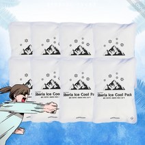 터트리는 아이스팩 10개 쿨팩 순간 냉각팩 쿨펀치, 라운드쿨팩