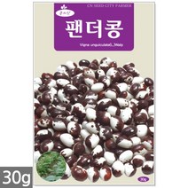 적작두콩 씨앗 10립 - 씨 작두콩씨앗 작두콩씨 작두콩 콩씨앗 콩씨 텃밭 주말농장, 20_팬더콩(30g)