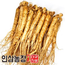 더굿진생 금산 인삼 수삼 원수삼 난발삼 파삼 삼계 350g, 1개, (세척안함)알뜰형 350g(11~15뿌리)