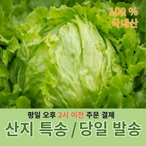 우리존 세척야채 로메인 상추 250g /질소충전 신선채소, 1팩