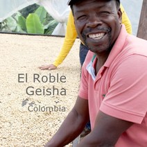 위트러스트 [위트러스트] 콜롬비아 엘 로브레 게이샤 500g Colombia El Roble Geisha, 홀빈