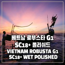 (커피생두) 63 베트남 로부스타 G1 1kg, 1개