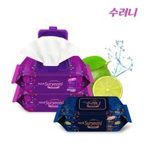 수려니 프리미엄 빅사이즈 대형 엠보싱/플레인 10팩 1BOX 노인물티슈 요양원 병원물티슈 환자물티슈 간병용품 비데티슈, 엠보싱1BOX