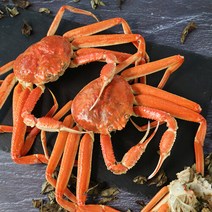 [생산자직송] 동해 묵호항 임창목선주의 활 대게 2kg