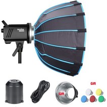 Godox 고독스MS300 컴팩트 300Ws 스튜디오 플래시 스트로브 라이트 모노라이트 보웬 마운트 포함 2.4G 무선 X 시스템 GN58 5600K, MS300 add Softbox_for Canon