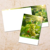 교회주보 예배 주보용지 3단6면 주보지 안내지 전도지 절기 부활절 추수감사 맥추감사 성탄절 신년감사 디자인 기독교용품, EW-02