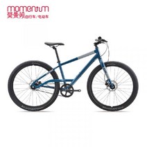 Momentum 드라이브 시스템 도시 단일 속도 남녀 레저 자전거 스타일 style, 27인치, D단속