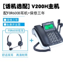 좌식 호출 북부 은혜 V200H 고객서비스 인이어 유무선전화기, T02-전화기FOR600D양쪽귀