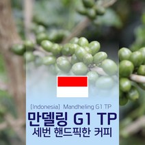 인도네시아 만델링 G1 TP 생두 1kg Mandheling 세웅지씨