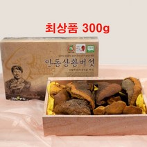 장수 상왕 상항 상황 버섯 국내산 식용 목질 진흙 버섯 최상품 300g