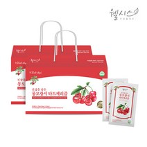 웰시스 건강을 담은 몽모랑시 타트체리즙 (1박스 30포), 2박스, 총 60포 각 80ml