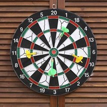 PH102420 베이직 다트 대 DART 인테리어소품 사은 기념 선물용 전자다트 다트핀 자석다트 전자다트기계 룰렛 양궁