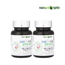 관절앤N-아세틸 글루코사민 2병