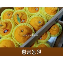 고당도 하우스 한라봉 명절세트 한시적 무조건 당일발송 당도보장, 선물고급3kg특대과(7과)