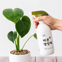 트리맘 바른영양제 500ml- 관엽식물 화분 영양제, 단품