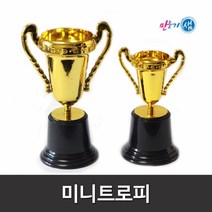 미니트로피 소/중/어린이집/유치원/여름성경학교, 소