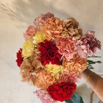 카네이션 생화택배 어버이날 스승의날 5월감사 꽃구독, 8송이