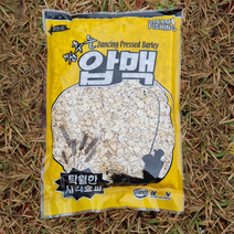 삼우 압맥 집어제 원투 미끼 첨가제 춤추는 압맥, 1개