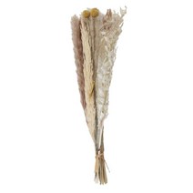 HAIMINGJUN 30x 말린 잔디 무리 phragmites 갈대 꽃 꽃 공예 꽃꽂이 선물 거실 꽃병 결혼식 생일, 44.7cmx7cmx7cm, 말린 꽃, 스타일 I