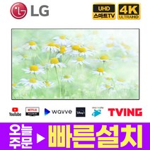 LG 65인치 OLED 올레드 4K UHD 스마트TV OLED65G1 수도권외스탠드설치 미사용리퍼, 단일속성