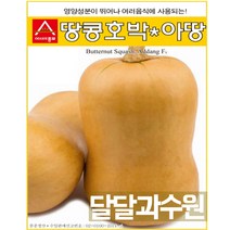 아시아종묘 땅콩호박 아땅 씨앗 종자 10립 버터호박 땅콩단호박 씨앗종자
