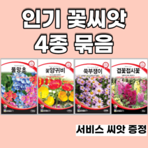 인기꽃씨앗 4종 묶음 양귀비 물망초 쑥부쟁이 겹접시꽃, 9set