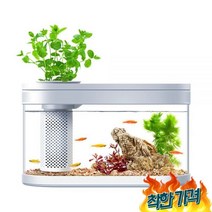 어항 화분 베타 금붕어 관상용새우 진주린키우기, 표준어항