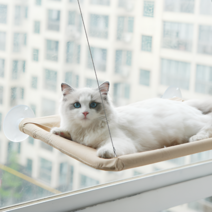 고양이 창문 윈도우 유리창 해먹