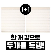 빛고운창 1+1 콤비 블라인드 초특가 세트