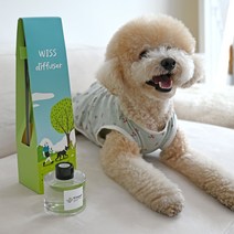위스펫 반려동물 강아지 고양이 천연 아로마 디퓨저 선물 실내방향제 120ml 단품, 허브티