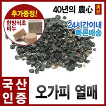 자애인 국산 오가피열매 1200g 오가피 열매 오가피열매차 한차재료 강원정선, 단품