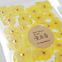 [바보사랑] 꽃보듬(압화)_수국(5컬러), 컬러:핑크, 상세 설명 참조