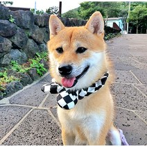 체커보드 강아지 리본밴드 곱창스카프 애견애묘 목도리 핸드메이드 반려견 케이프 반다나 소중대형, M, 옐로우