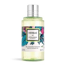 록시땅 에르베 젠틀 샤워 젤 250ml 721430